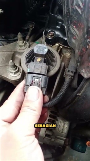 sensor EGR mobil #shorts #infotomotif