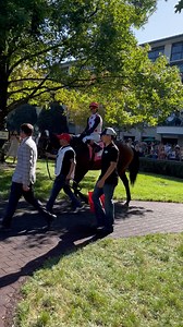 1.3K views · 20 reactions | Jockey Jose Ortiz was ready to roll for the G2 Woodford Stakes at Keeneland | Equibase Company | Facebook