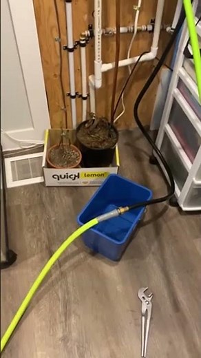 Tankless water heater flush // Navien NPE 240A