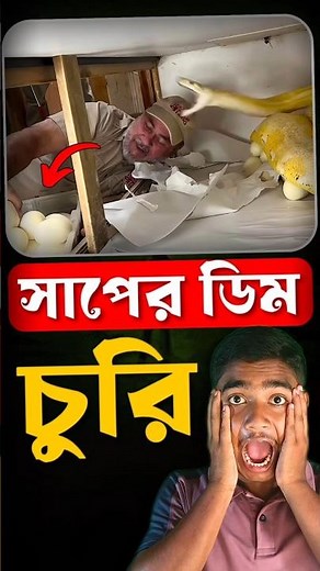 অজগরের অদ্ভুত কাণ্ড