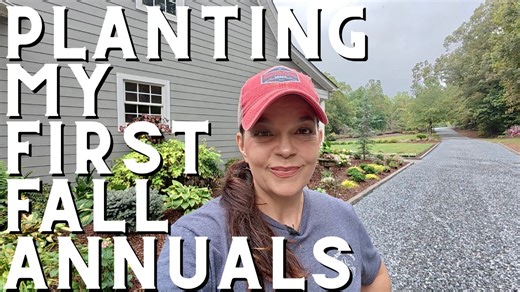 9.4K views · 355 reactions | It’s time to kick off the fall planting...