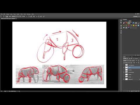 02/04 Anatomía — Ilustración: Dibuja animales realistas y cartoon