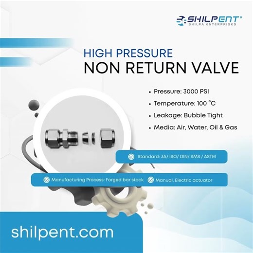 High Pressure non return valve
