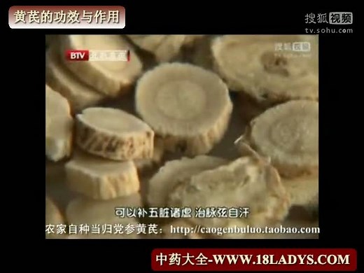 黄芪_黄芪的功效与作用及食用方法