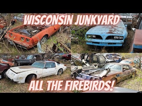 Trans Am Firebirds sitting in a Wisconsin Junkyard!