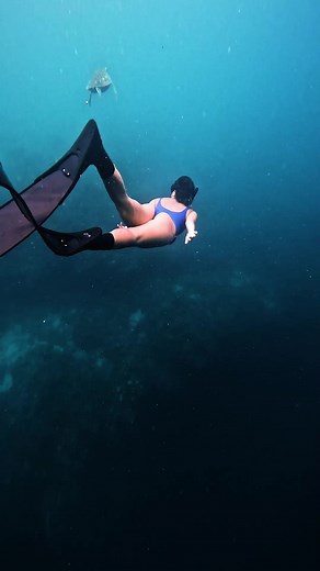 798K views · 13K reactions | One of the most beautiful experiences… freediving with turtles in Balicasag ❤ @_wheresclauBalicasag Island, Bohol: @jodelsonbelchez #freediving #freedive #turtle #love #beautiful #panglao #bohol #philippines | Blue Freedom Apnea - Freediving Club | Facebook