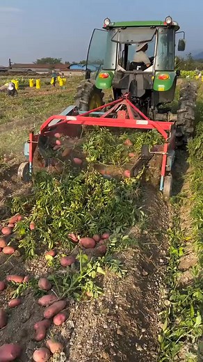23K views · 63 reactions | farmer's vegetable harvester  #amazing #tips #DIY #techonogy #machines | Survival Amazing | Facebook