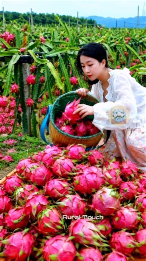 Beautiful nature with rural life 🍈🍓🍏 –harvest fresh fruits in the summer 🍒🍇🍑 #fruit #shorts #yummy