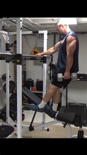 Dumbbell (or Weight Vest) Single Leg Pendulum Squat... if you don't...