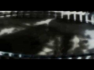 Gottfried Benn Drei Gedichte