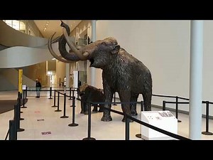 Visiting The Royal Alberta Museum, Edmonton