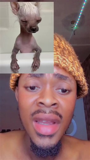 Understanding Blue Tick Verification on Social Media