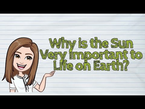 (SCIENCE) Why is the Sun Very Important to Life on Earth? | #iQuestionPH