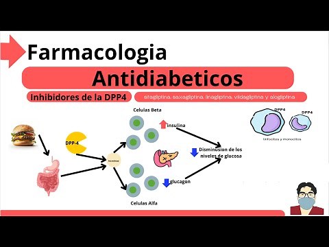 Pharmacology Antidiabetic Drugs DPP4 Inhibitors /Antidiabetic Drugs / DPP4 Inhibitors