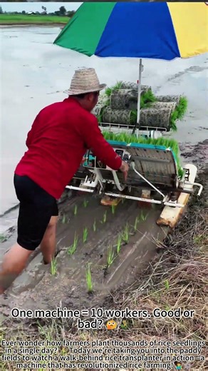 Rice Transplanter: Plant Perfect Rows Fast! 🌾🚜