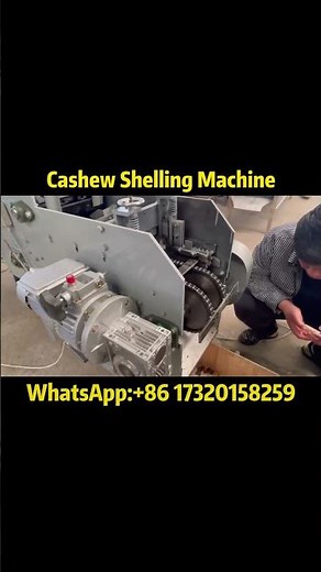 Automatic Cashew Nut Shelling Machine | High Efficiency & Precision#cashewnuts #peeling