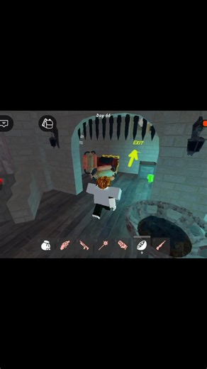 I Opened a Ruby Chest in #99nightintheforest