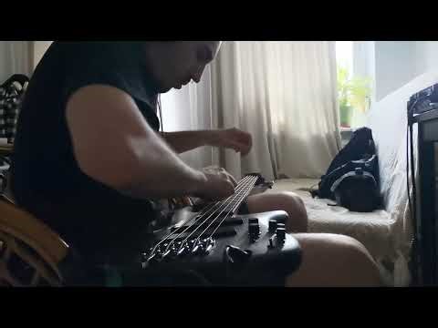 Dunlop Ultraglide 65 String Cleaner and Conditioner (BASS TEST)