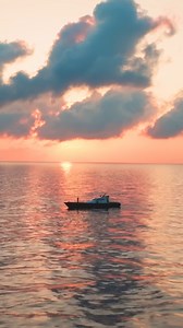 12K views · 188 reactions | NEW STELLA SW - Conquer the impossible!...