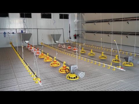 Poultry Slatted Floor System