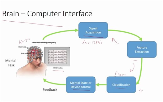 EEG Signal Processing