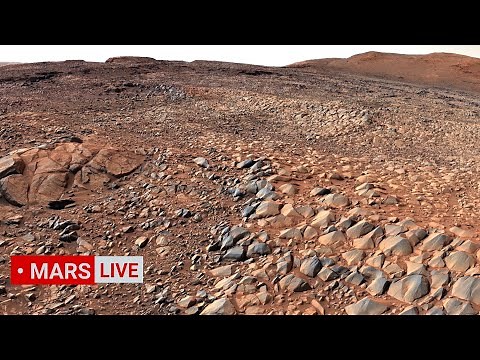NASA Mars Rover Sent Most Incredible Footage of Mars' Geology! Perseverance and Curiosity Mars In 4K