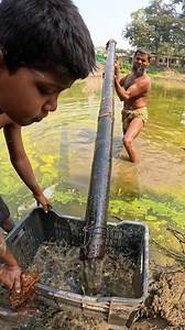 1.2M views · 7.8K reactions | Best Primitive River Fishing Technique #fishinglife #riverfishing #fishing #fishingtime #fish | Local Fishing Videos | Facebook