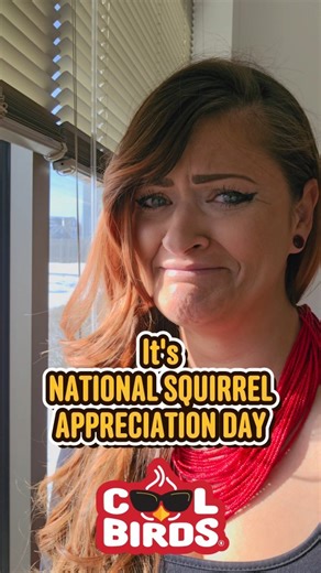 COOL BIRDS®️ on Instagram: "Do YOU feed squirrels, too? Happy National Squirrel Appreciation Day! 😎🐿 🚨 COOL BIRDS JANUARY GIVEAWAY! It’s the ultimate starter pack for the coolest bird nerds. 💥 TO ENTER: ✅ Like this post ✅ FOLLOW @morecoolbirds ✅ Tag a friend who needs to level up their bird game & tell us your favorite winter COOL BIRD (weird answers encouraged) 📅 Giveaway ends January 31st at 12:59PM PT. One (1) lucky winner will be picked at random and DM’d by @morecoolbirds only… if you 