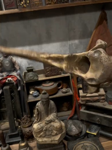 Inwardly, observe the mind and find it already whole; Outwardly, read all things and let the heart empty itself like a valley.