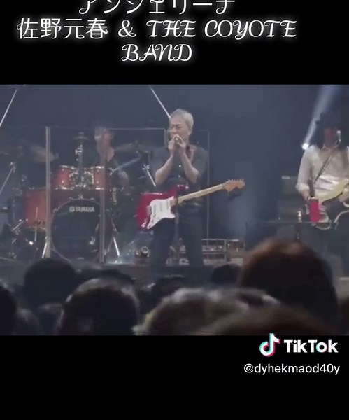 「アンジェリーナ」 佐野元春 ＆ THE COYOTE BAND #ハム86 🌈
