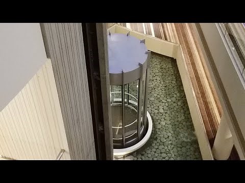 Having fun on the amazing elevators at the Atlanta Marriott Marquis