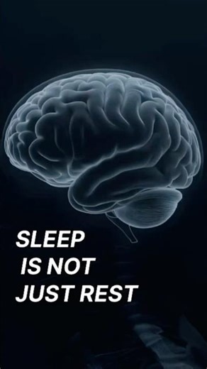 What Happens to Your Brain During Deep Sleep #motivation #sleepsolution #fact #rainoundforsleep