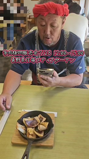 多肉植物販売会のお知らせと日程