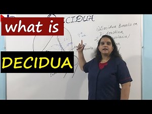 Decidua | Placenta Development [Part-2] Nursing Lecture