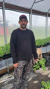 Join us! At the Farmers Market TOMORROW! | Living Traditions Homestead