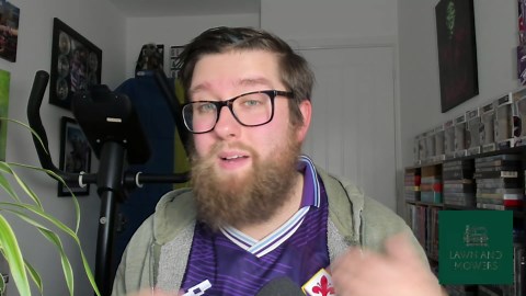 Spider plant watering guide - How often should it be watered?