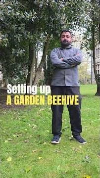 Setting up a garden beehive #beekeeper #beehive #garden