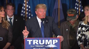 Donald Trump's Border Wall: A 'Progress' Report