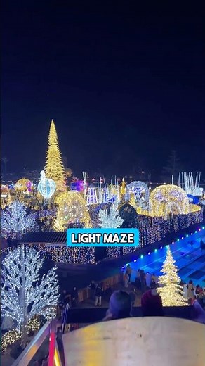 This place is insane!🎄🎄🎄￼