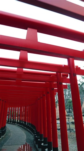 Discovering Beautiful Spots in Japan