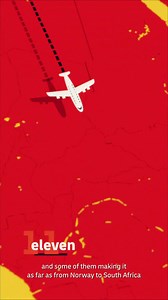 With #DHLExpress, your shipment is in the hands of an incredible team delivering millions of international parcels in just 24 hours! 📦🌎 From your hands to the recipient's door, our team delivers more than just packages - we ship stories, connections, and possibilities. #ADaysWork #DHLExpress | DHL Express