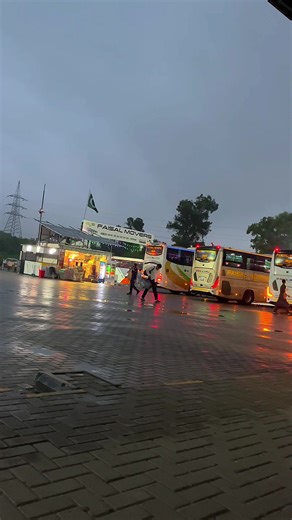 Exploring TikTok Bus Culture and Creator Insights