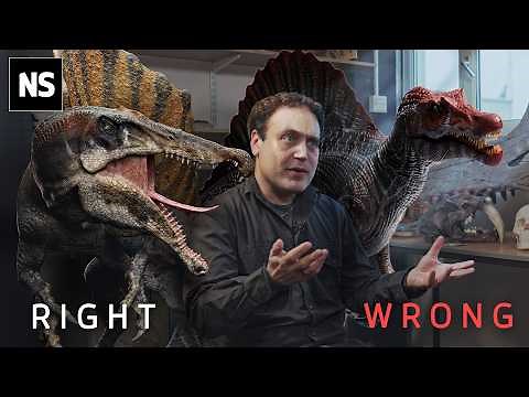 Have Scientists Finally Figured Out The Spinosaurus?