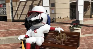 Mr. Redlegs isn't missing, he's just stretching his legs