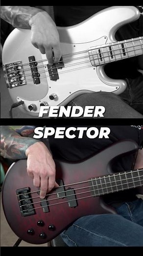 Fender vs Spector