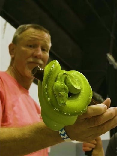 Pythons Episode 2 BTS short