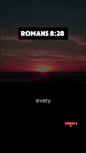 Romans 8:28 Bible Verse of the Day | Trust God's Perfect Plan