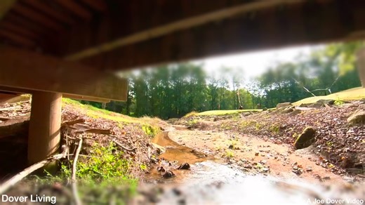 I was over at a clients house yesterday where a pool is about to be started and playing around with a 3D camera attached to a drone..turned out pretty cool actually. Might need to do more. | Joe Dover