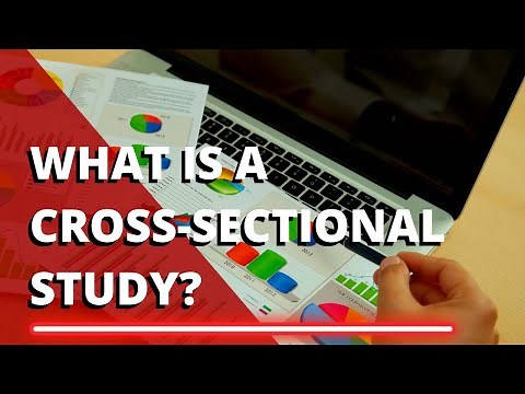 What is a Cross-Sectional Study?
