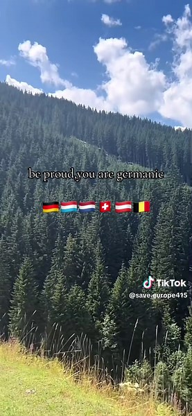 save europe on TikTok